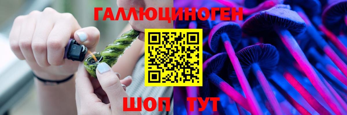 Коломна  Псилоцибиновые грибы Cubensis  Вход с VPN 